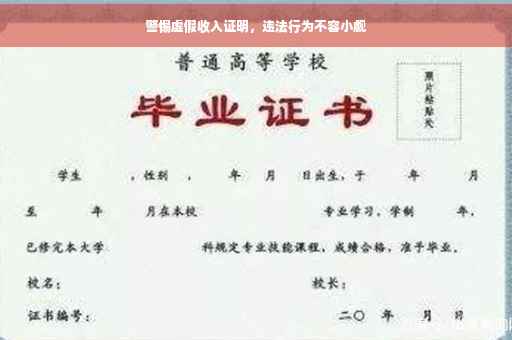 警惕虚假收入证明，违法行为不容小觑