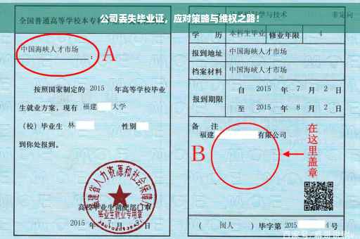 公司丢失毕业证，应对策略与维权之路！