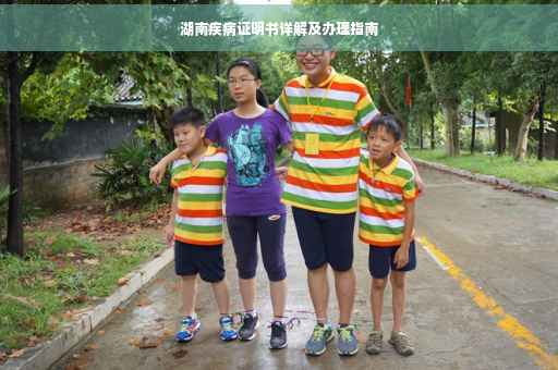 湖南疾病证明书详解及办理指南