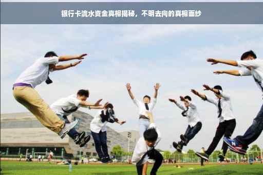 银行卡流水资金真相揭秘,不明去向的真相面纱 银行卡流水资金真相揭秘,不明去向的真相面纱