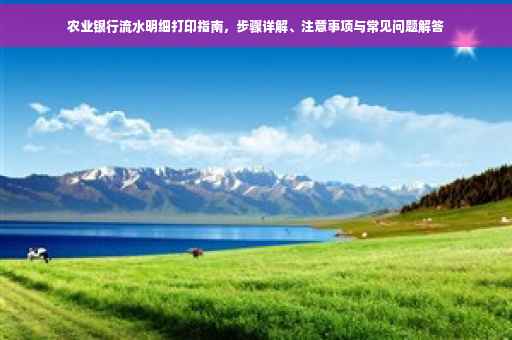 农业银行流水明细打印指南，步骤详解、注意事项与常见问题解答