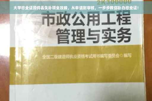 大学毕业证原件丢失补领全攻略，从申请到审核，一步步教你补办毕业证！