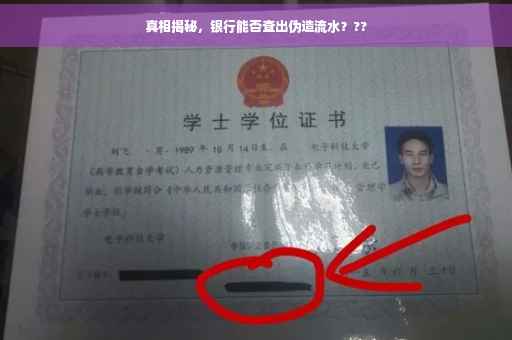 真相揭秘，银行能否查出伪造流水？??