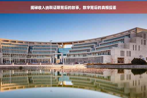 揭秘收入纳税证明背后的故事，数字背后的真相探索