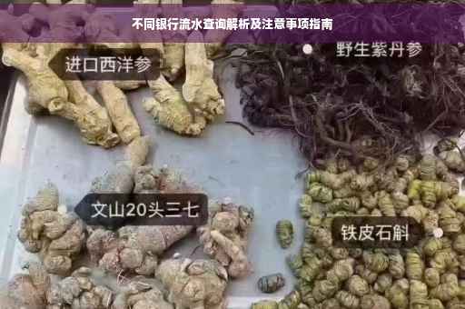 不同银行流水查询解析及注意事项指南
