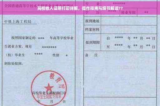 高校收入证明打印详解，操作指南与细节解读??
