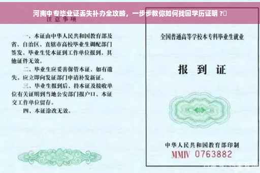 河南中专毕业证丢失补办全攻略，一步步教你如何找回学历证明 ?✨
