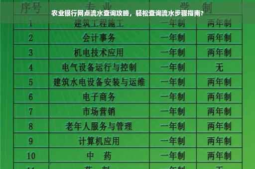 农业银行网点流水查询攻略，轻松查询流水步骤指南?