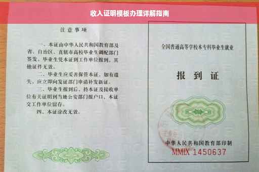 收入证明模板办理详解指南