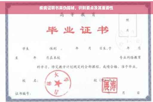 疾病证明书真伪揭秘，识别要点及其重要性