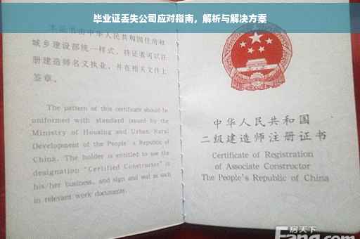 毕业证丢失公司应对指南，解析与解决方案