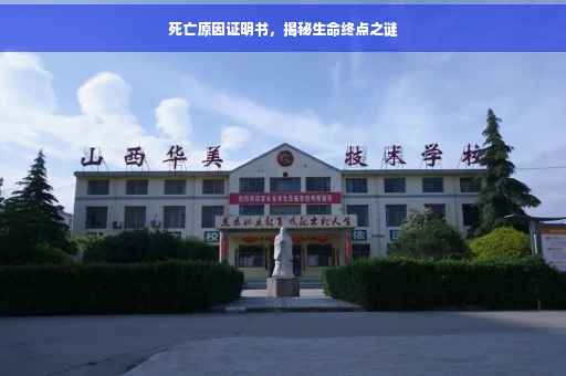 死亡原因证明书，揭秘生命终点之谜