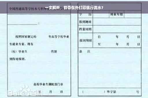 一文解析，能否在外打印银行流水？