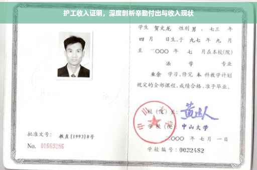 护工收入证明，深度剖析辛勤付出与收入现状