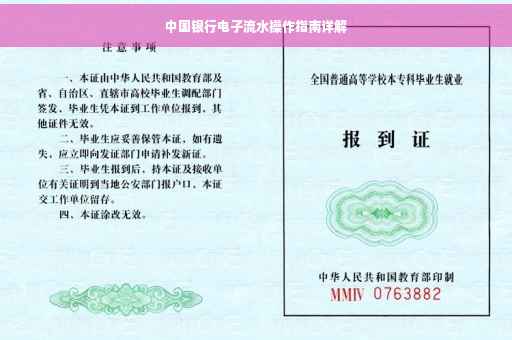 中国银行电子流水操作指南详解