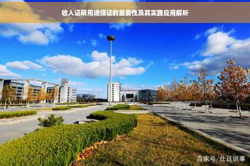 收入证明用途保证的重要性及其实践应用解析 收入证明用途保证的重要性及其实践应用解析