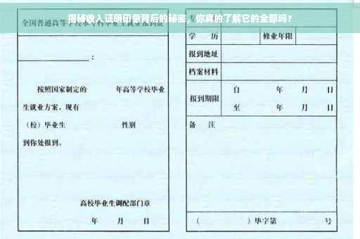 揭秘收入证明印章背后的秘密，你真的了解它的全部吗？
