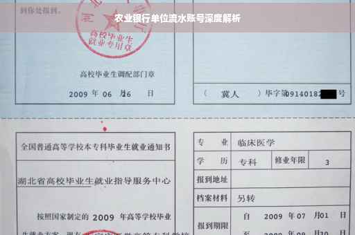 农业银行单位流水账号深度解析