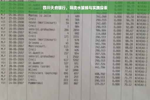 四川天府银行，导流水策略与实践探索