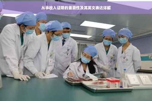 从事收入证明的重要性及其英文表达详解