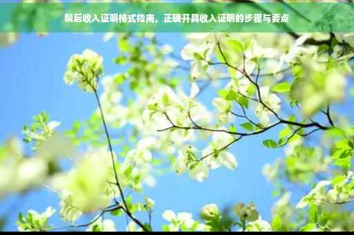 税后收入证明格式指南，正确开具收入证明的步骤与要点