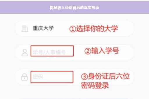 揭秘收入证明背后的真实故事
