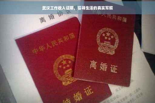 武汉工作收入证明，探寻生活的真实写照