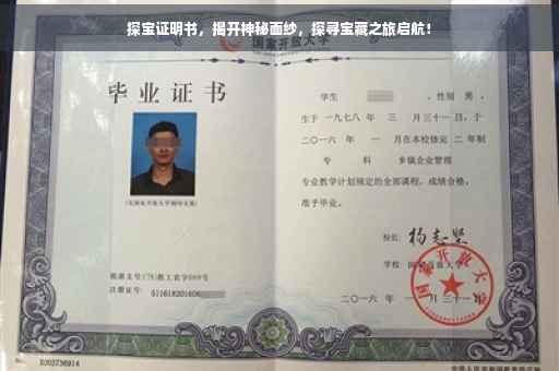探宝证明书，揭开神秘面纱，探寻宝藏之旅启航！