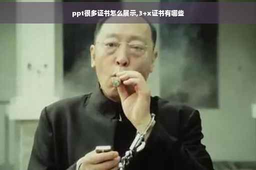 ppt很多证书怎么展示,3+x证书有哪些