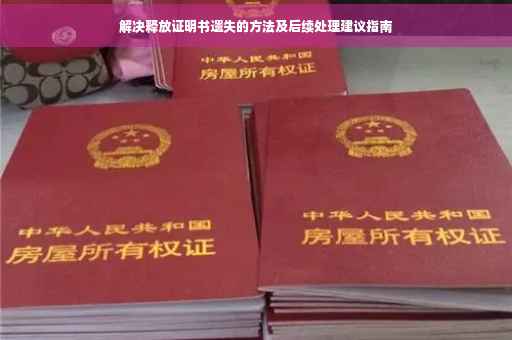 解决释放证明书遗失的方法及后续处理建议指南