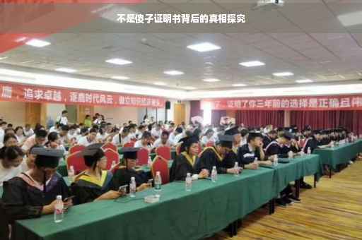不是傻子证明书背后的真相探究