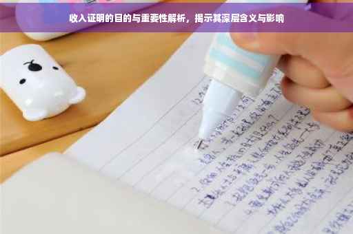 收入证明的目的与重要性解析，揭示其深层含义与影响