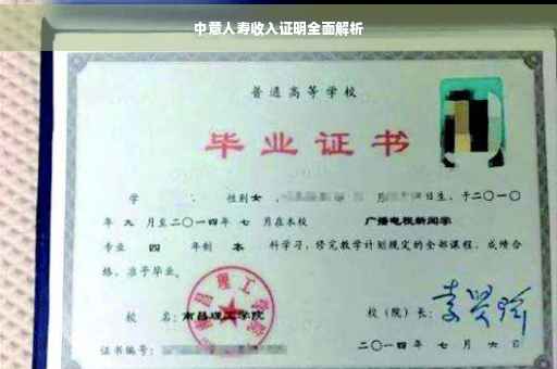 中意人寿收入证明全面解析
