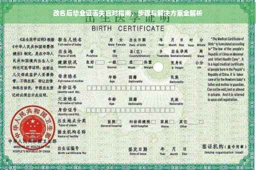 改名后毕业证丢失应对指南，步骤与解决方案全解析