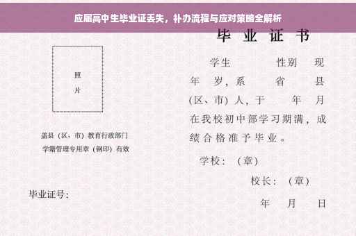 应届高中生毕业证丢失，补办流程与应对策略全解析