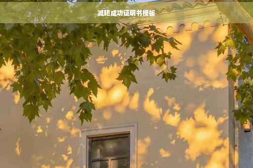 减肥成功证明书模板 减肥成功证明书模板