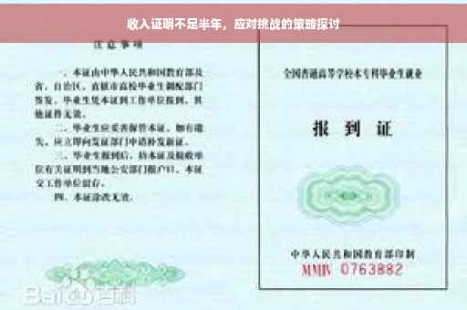 收入证明不足半年，应对挑战的策略探讨