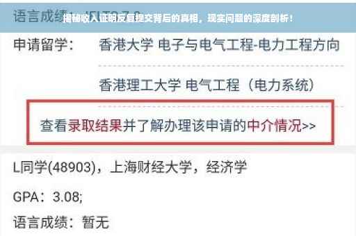 揭秘收入证明反复提交背后的真相，现实问题的深度剖析！