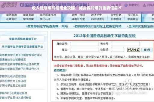 收入证明填写指南全攻略，你需要知道的重要信息?✨