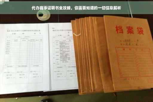 代办商事证明书全攻略，你需要知道的一切信息解析