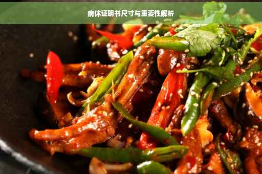 病休证明书尺寸与重要性解析