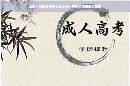 山东中专毕业证丢失怎么办？应对策略与流程详解