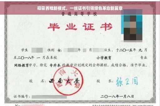 稻田养殖新模式，一纸证书引领绿色革命新篇章