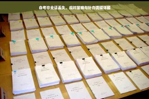 自考毕业证丢失，应对策略与补办流程详解
