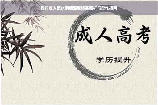 银行收入流水明细深度核实解析与操作指南