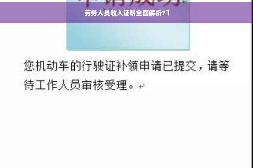 劳务人员收入证明全面解析?✨