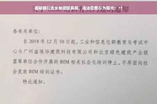 揭秘银行流水单造假真相，违法犯罪行为曝光！??