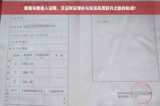 家庭年度收入证明，见证财富增长与生活品质跃升之旅的轨迹?