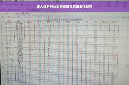 收入证明对公司的影响及其重要性探究