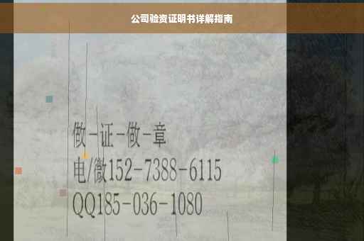公司验资证明书详解指南
